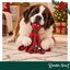 Wonder Christmas Polvo XL Peluche para c&atilde;es, , large Indicador imagem n&uacute;mero 2