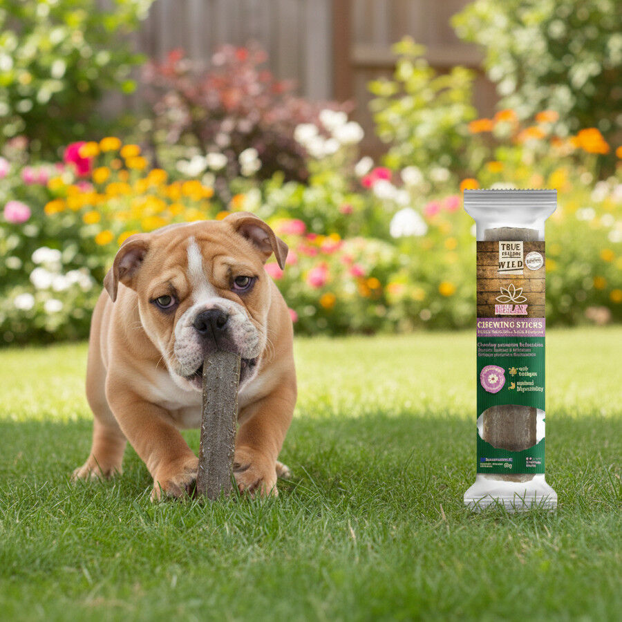 1 ud. True Origins Wild Relax Chewing Sticks Snack para c&atilde;es, , large Imagem n&uacute;mero 1