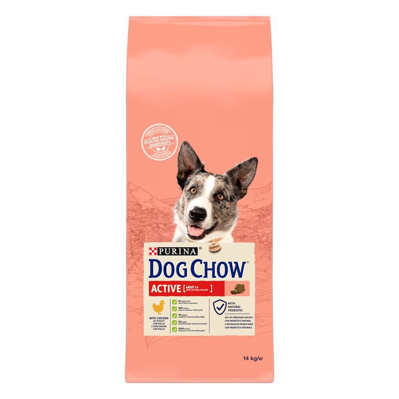 14 kg Dog Chow Active Frango ração para cães,  Imagem número 1 14 kg Dog Chow Active Frango ração para cães, , large Imagem número 1
