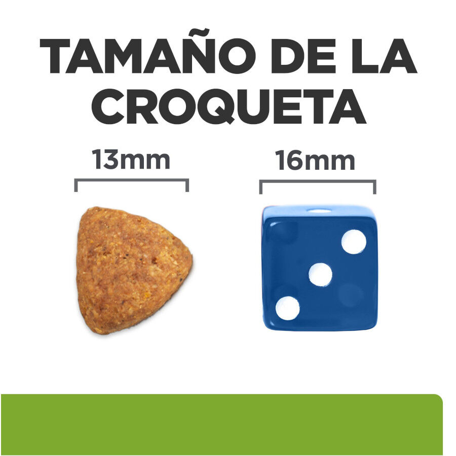 4 kg Hill's Prescription Diet J/D Metabolic + Mobility Frango ra&ccedil;&atilde;o para c&atilde;es, , large Imagem n&uacute;mero 5