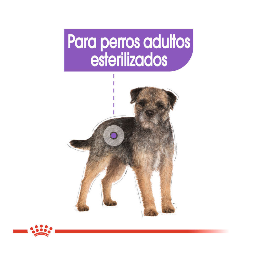 85 g Royal Canin Sterilised Pat&ecirc; em saquetas para c&atilde;es , , large Imagem n&uacute;mero 4