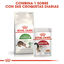 10 kg Royal Canin Active Life Outdoor pienso para gatos, , large Indicador imagem número 7