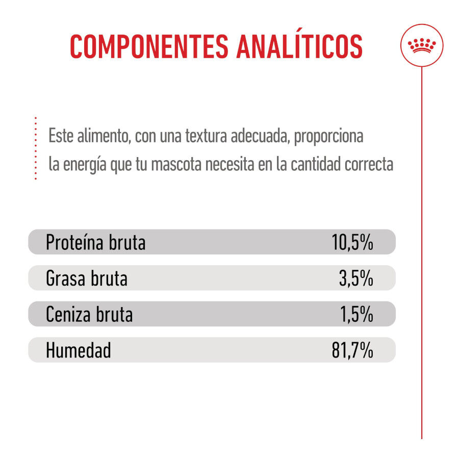 12 saquetas x 85 g Royal Canin Kitten Sterilised Saquetas de Gelatina para gatinhos Pack poupan&ccedil;a!, , large Imagem n&uacute;mero 8