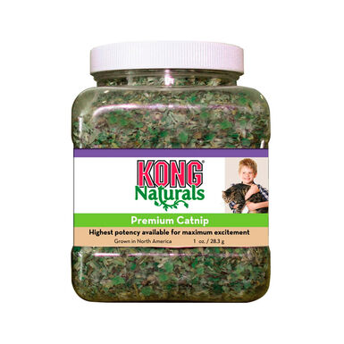 Kong Naturals Catnip para gatos