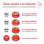 8 kg Royal Canin Glycobalance Ra&ccedil;&atilde;o para c&atilde;es, , large Indicador imagem n&uacute;mero 8