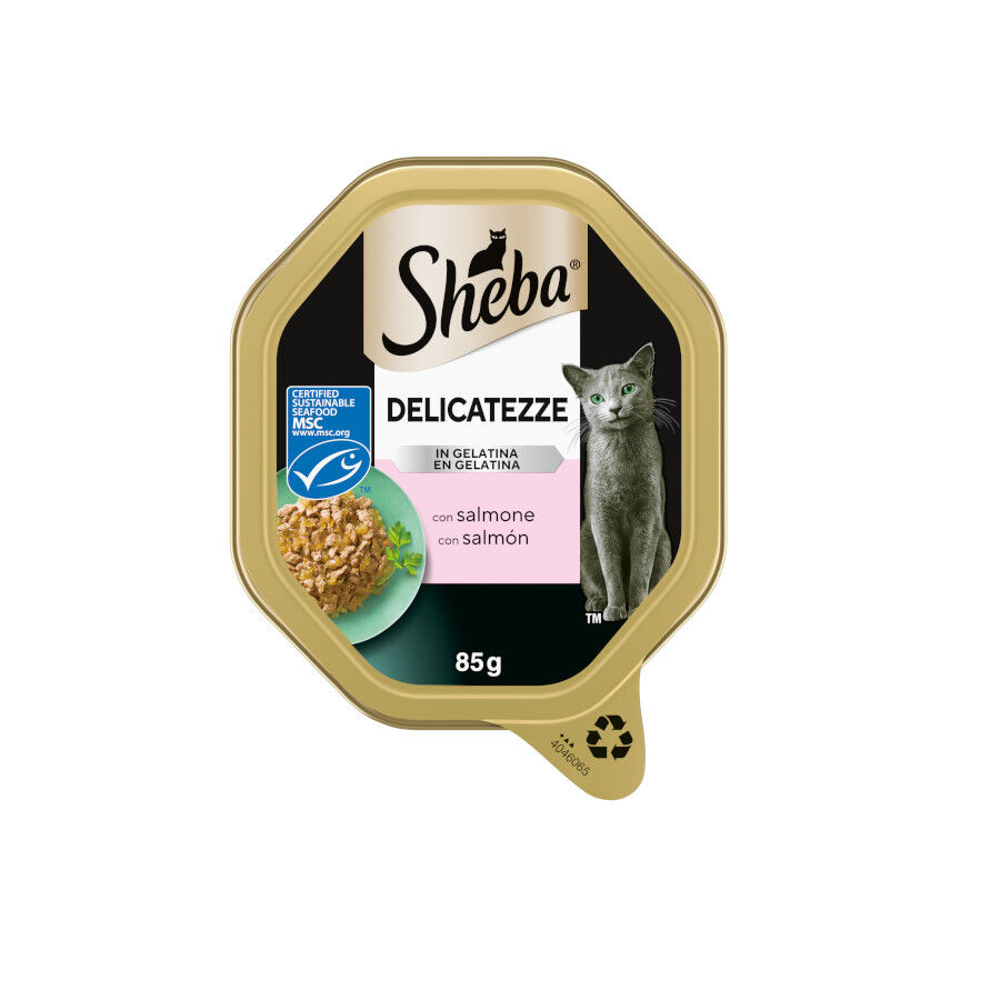 85 g Sheba Delicatezze Tarrina Gelatina Salm&oacute;n para gatos, , large Imagem n&uacute;mero 1