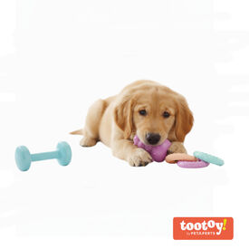 Tootoy! Puppy Caixa de brinquedos para cachorros