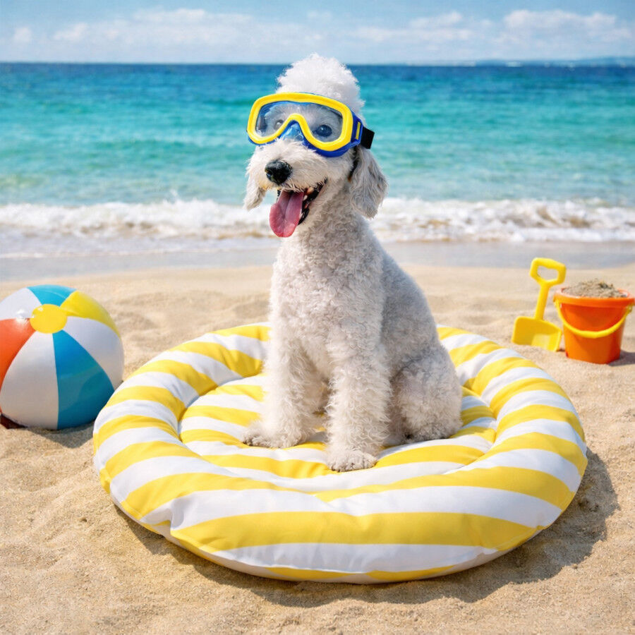 Summer Vibes Round Cool Mat Club Cama Refrescante para c&atilde;es, , large Imagem n&uacute;mero 1
