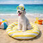 Summer Vibes Round Cool Mat Club Cama Refrescante para c&atilde;es, , large Indicador imagem n&uacute;mero 1