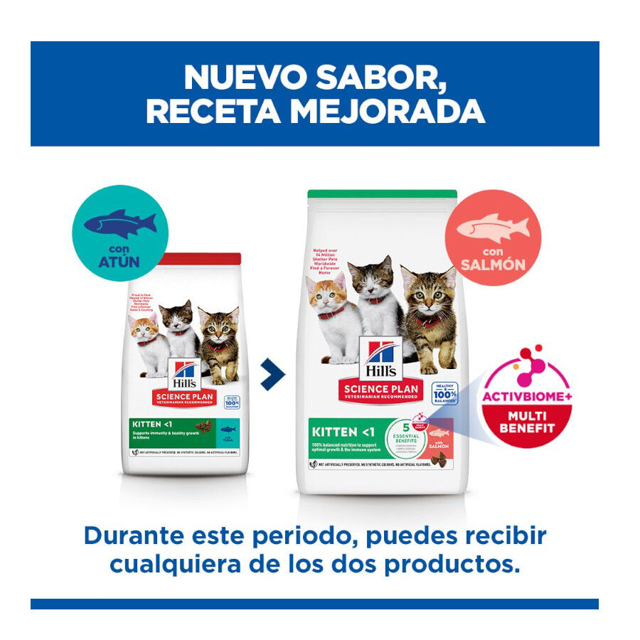 1.5 kg Hill's Science Plan Ra&ccedil;&atilde;o de salm&atilde;o para gatinhos, , large Imagem n&uacute;mero 3