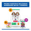 370 g Hill's Science Plan Puppy Beef P&acirc;t&eacute; enlatado para c&atilde;es, , large Indicador imagem n&uacute;mero 9