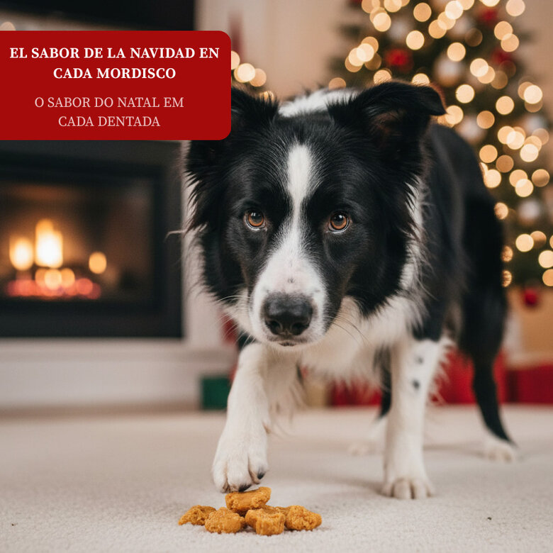 80 g Wonder Christmas Nuggets de frango de Natal para cães,  Imagem número 4 80 g Wonder Christmas Nuggets de frango de Natal para cães, , large Imagem número 4