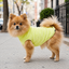 Gotoo Camisola Polar Verde-Lima para c&atilde;es, , large Indicador imagem n&uacute;mero 1