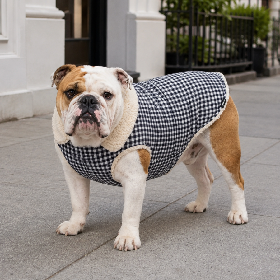 Gotoo Casaco Azul com Padr&atilde;o Vichy para c&atilde;es, , large Imagem n&uacute;mero 1