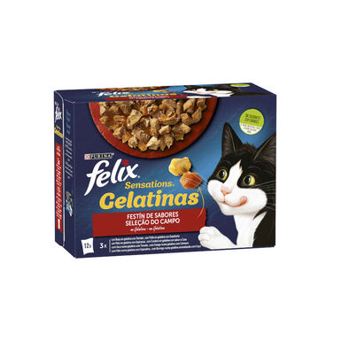 Felix Sensations Seleção do Campo saquetas em galeia