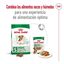 3.5 kg Royal Canin Mini 12+ Ageing ração para cães, , large Indicador imagem número 2