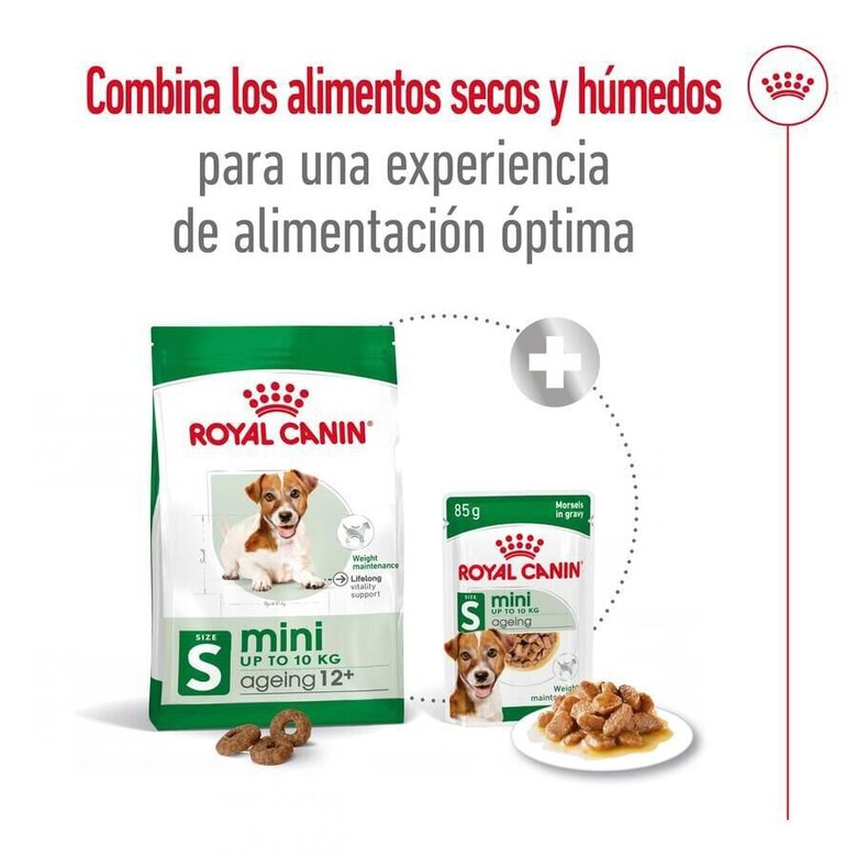 3.5 kg Royal Canin Mini 12+ Ageing ração para cães,  Imagem número 2 3.5 kg Royal Canin Mini 12+ Ageing ração para cães, , large Imagem número 2