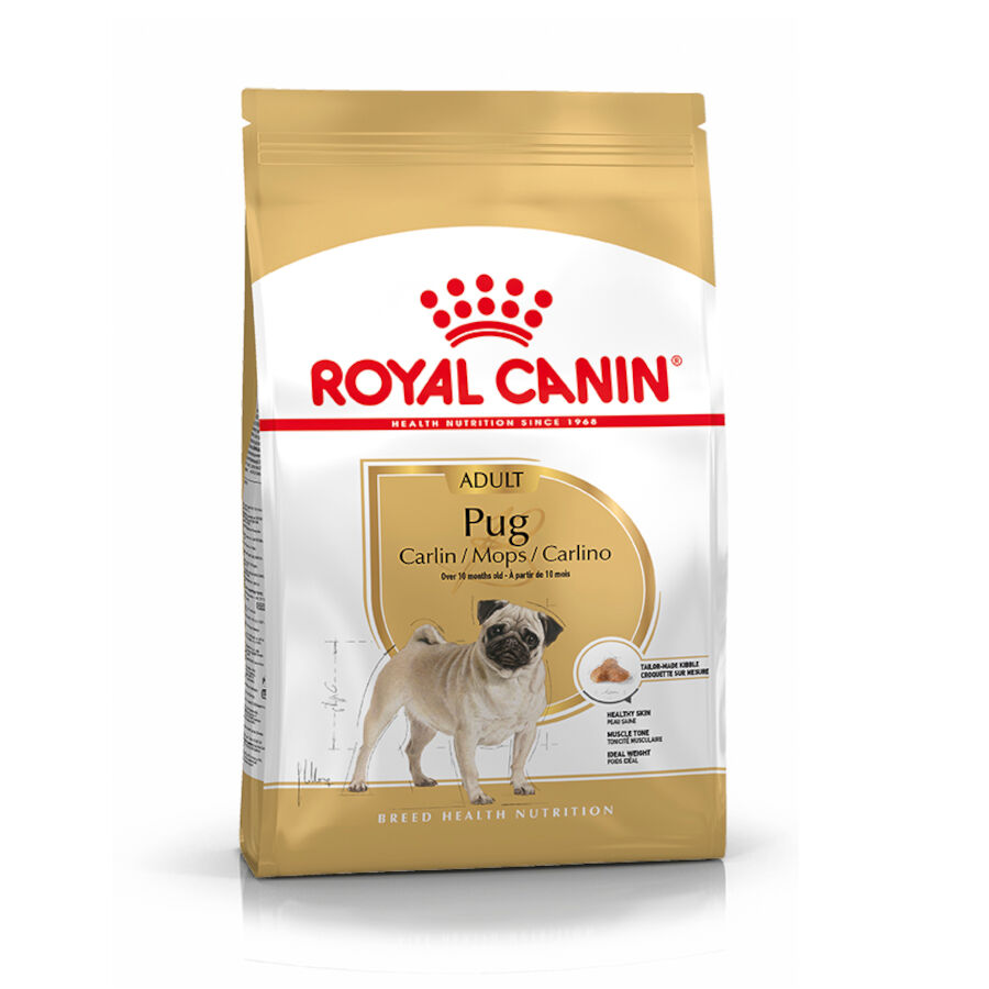 3 kg Royal Canin Adult Pug ra&ccedil;&atilde;o para c&atilde;es, , large Imagem n&uacute;mero 1