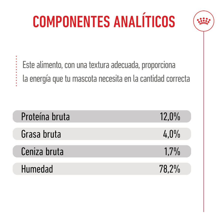 48 saquetas x 85 g Royal Canin Kitten Alimento H&uacute;mido para gatinhos Pack poupan&ccedil;a!, , large Imagem n&uacute;mero 8