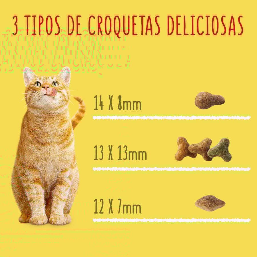 20 kg Friskies Coelho e Frango ra&ccedil;&atilde;o para gatos, , large Imagem n&uacute;mero 8