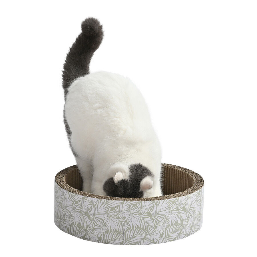 Leeby Domingo cama arranhador de cart&atilde;o com padr&atilde;o para gatos, , large Imagem n&uacute;mero 4