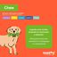 Tootoy! Chew Mordedor Anel Entran&ccedil;ado para c&atilde;es, , large Indicador imagem n&uacute;mero 5