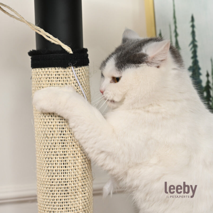 Leeby Tito arranhador para p&eacute; de mesa com brinquedo para gatos, , large Imagem n&uacute;mero 2