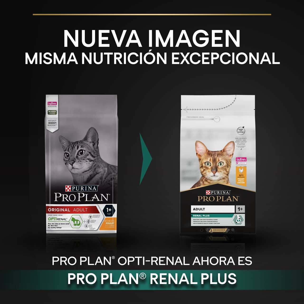10 kg Pro Plan Adult Renal Plus Frango ra&ccedil;&atilde;o para gatos, , large Imagem n&uacute;mero 2
