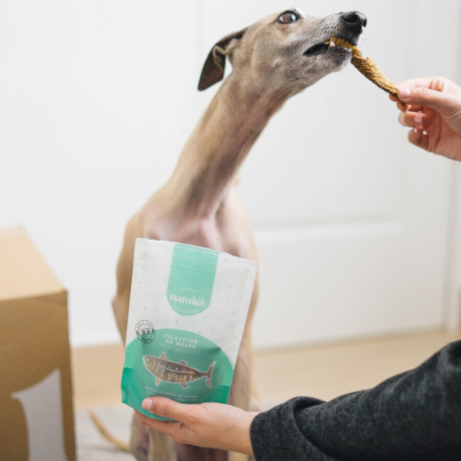 50 g Natuka Melva Filetitos Petisco Natural para c&atilde;es e gatos, , large Imagem n&uacute;mero 4