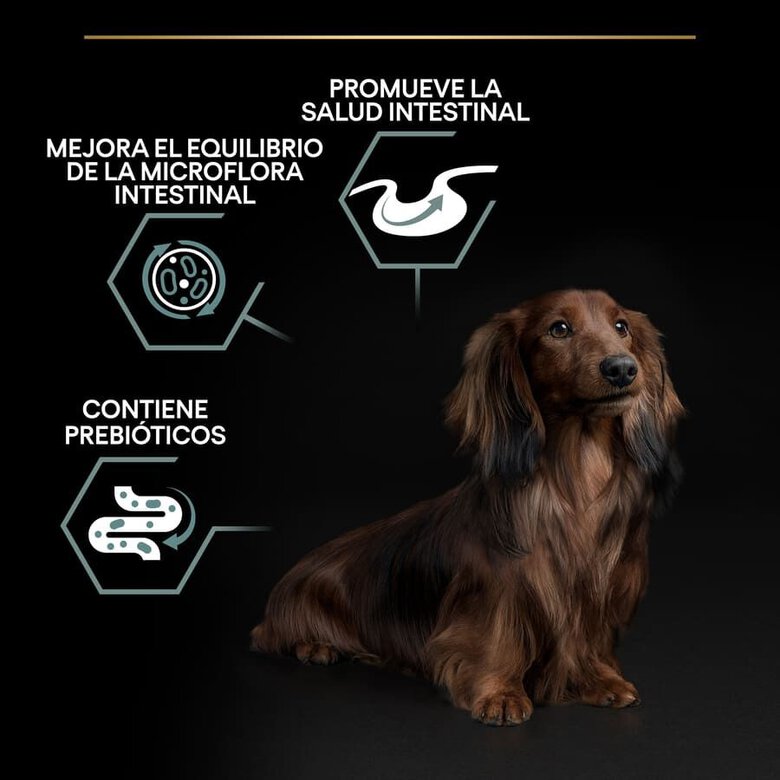 3 kg Pro Plan Adult Mini OptiDigest Cordeiro ração para cães ,  Imagem número 3 3 kg Pro Plan Adult Mini OptiDigest Cordeiro ração para cães , , large Imagem número 3