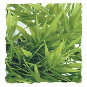 Zoo Med bamb&uacute; artificial plantas para terrarios Imagem n&uacute;mero 1