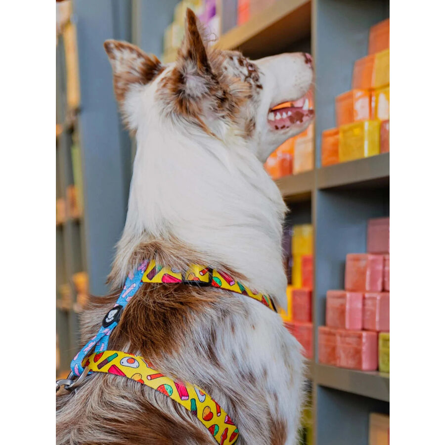 Dukier Sweets Peitoral Cl&aacute;ssico para c&atilde;es, , large Imagem n&uacute;mero 3