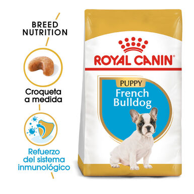 Royal Canin Puppy French Bulldog ração para cães 