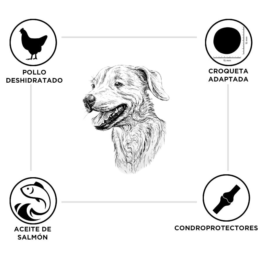 15 kg Criadores Frango e Arroz ra&ccedil;&atilde;o para cachorros de ra&ccedil;as grandes, , large Imagem n&uacute;mero 3