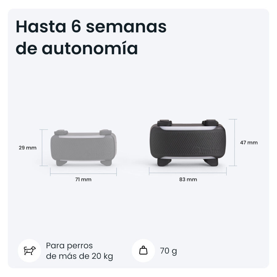 Tractive DOG 6 XL Preto GPS para c&atilde;es, , large Imagem n&uacute;mero 6
