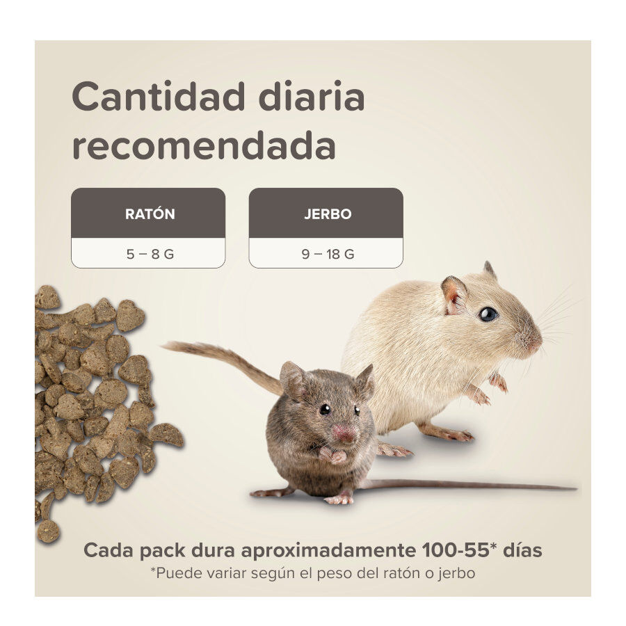 Beaphar Care+ Alimento para ratos e gerbilos, , large Imagem n&uacute;mero 7