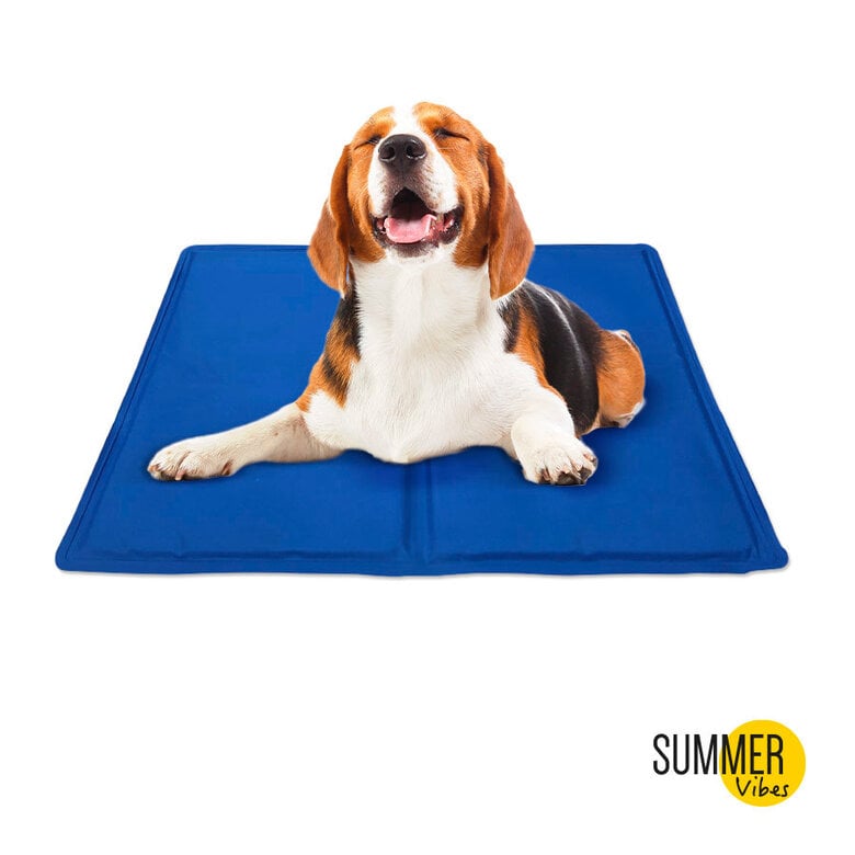 Summer Vibes Manta Refrescante Azul para cães,  Imagem número 2 Summer Vibes Manta Refrescante Azul para cães, , large Imagem número 2