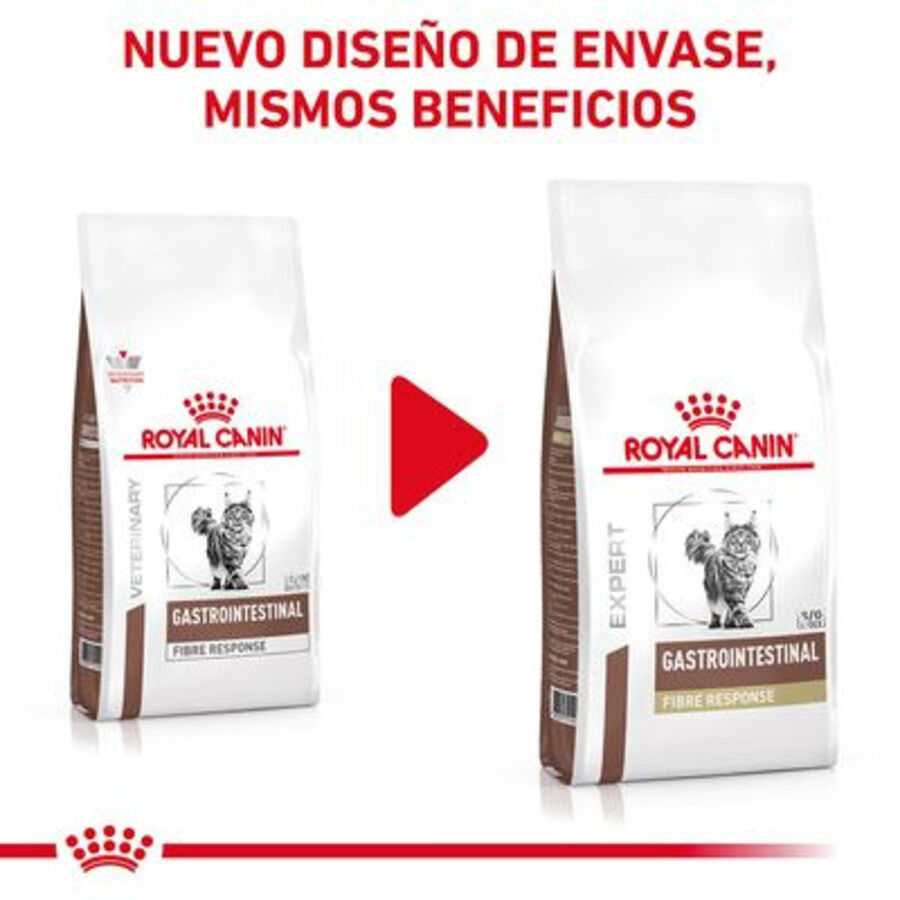 4 kg Royal Canin Veterinary Gastrointestinal Fibre Response ra&ccedil;&atilde;o para gatos, , large Imagem n&uacute;mero 2