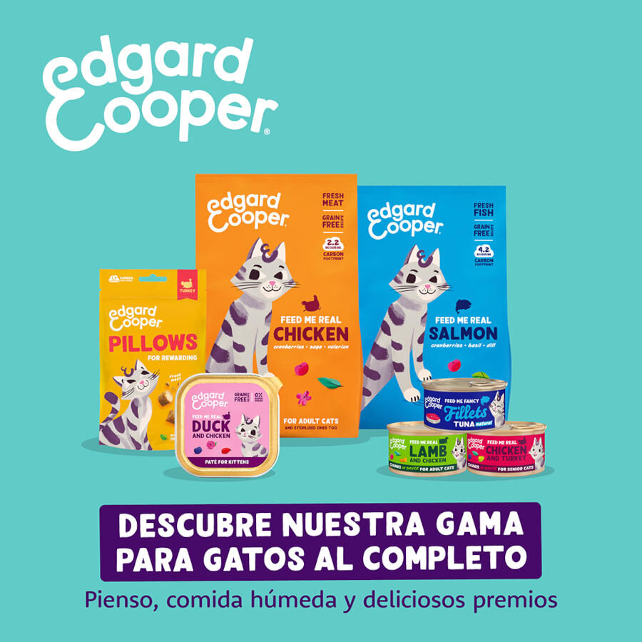 60 g Edgard & Cooper Pillows Snack de frango para gatos, , large Imagem n&uacute;mero 7