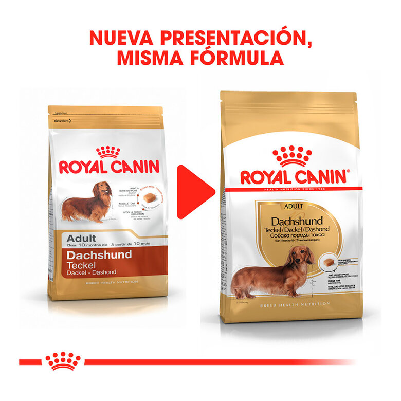 7.5 kg Royal Canin Adult Dachshund ração para cães,  Imagem número 3 7.5 kg Royal Canin Adult Dachshund ração para cães, , large Imagem número 3