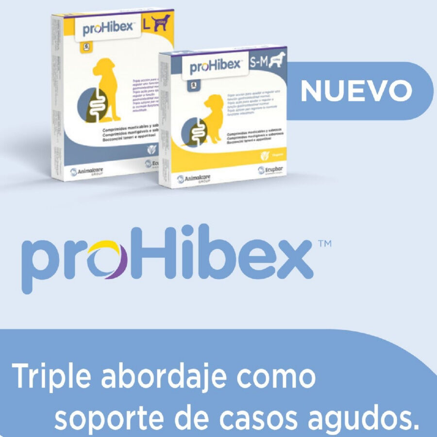 Ecuphar Prohibex Suplemento gastrointestinal para c&atilde;es, , large Imagem n&uacute;mero 3