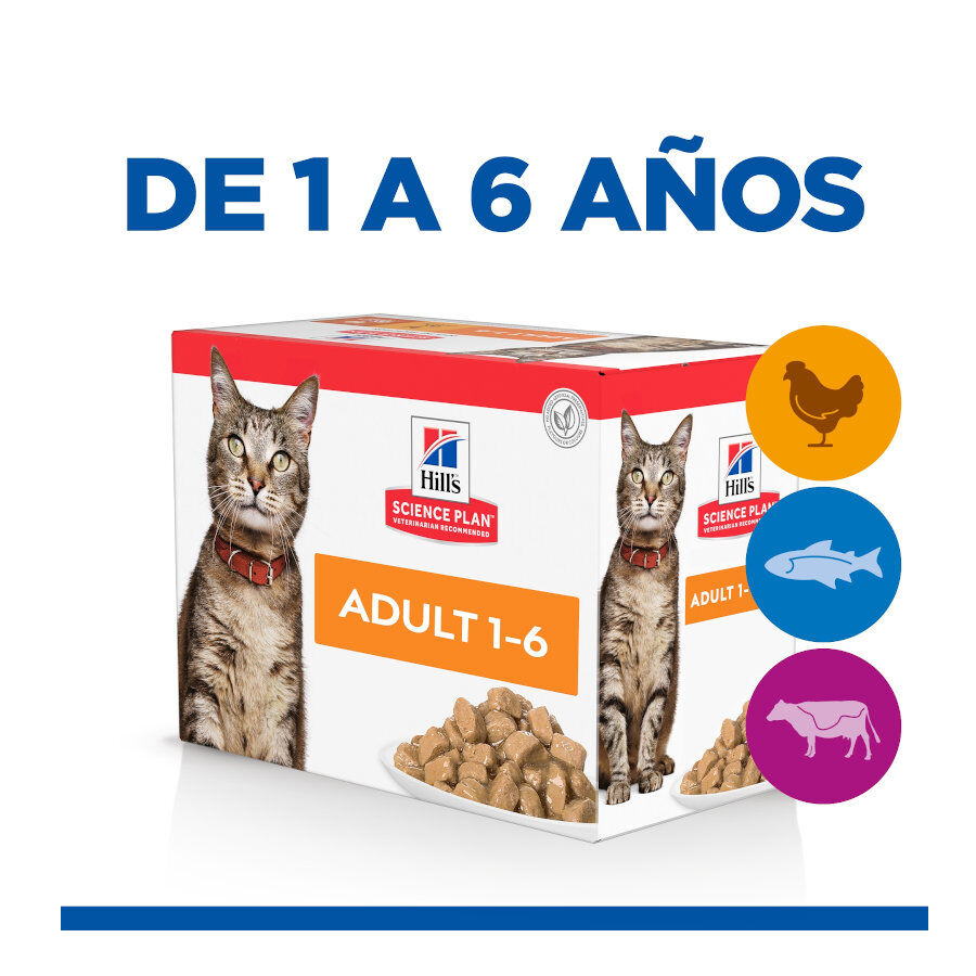 24 saquetas x 85 g Hill's Science Plan Adult Frango, Peixe Azul e Carne em Molho para Gatos Pack poupan&ccedil;a!, , large Imagem n&uacute;mero 2