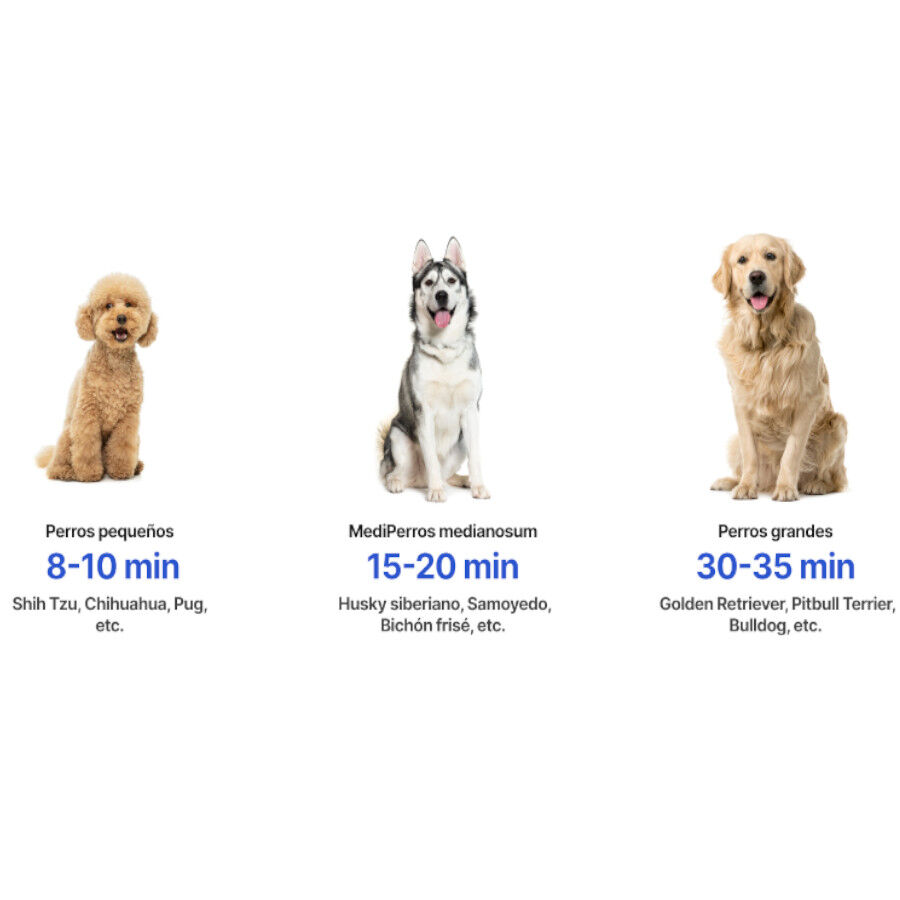 Neakasa High-Velocity Pet Dryer Secador para c&atilde;es, , large Imagem n&uacute;mero 6