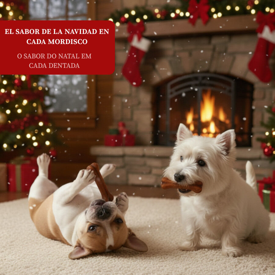 2 Ossos Wonder Christmas Osso prensado de Natal para c&atilde;es, , large Imagem n&uacute;mero 4