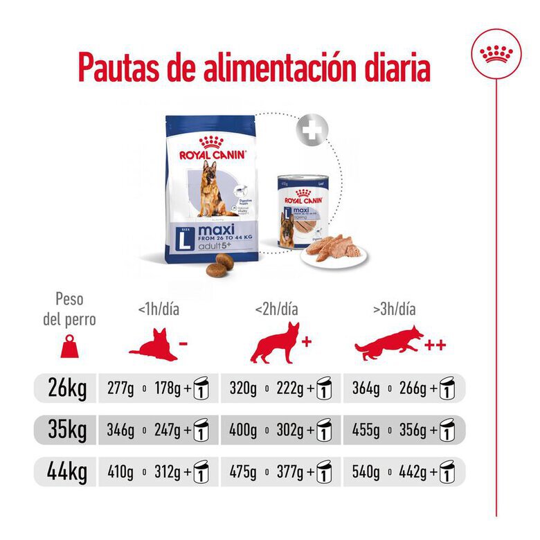 15 kg Royal Canin Maxi Adult 5+ ração para cães seniores de raça grande,  Imagem número 13 15 kg Royal Canin Maxi Adult 5+ ração para cães seniores de raça grande, , large Imagem número 13