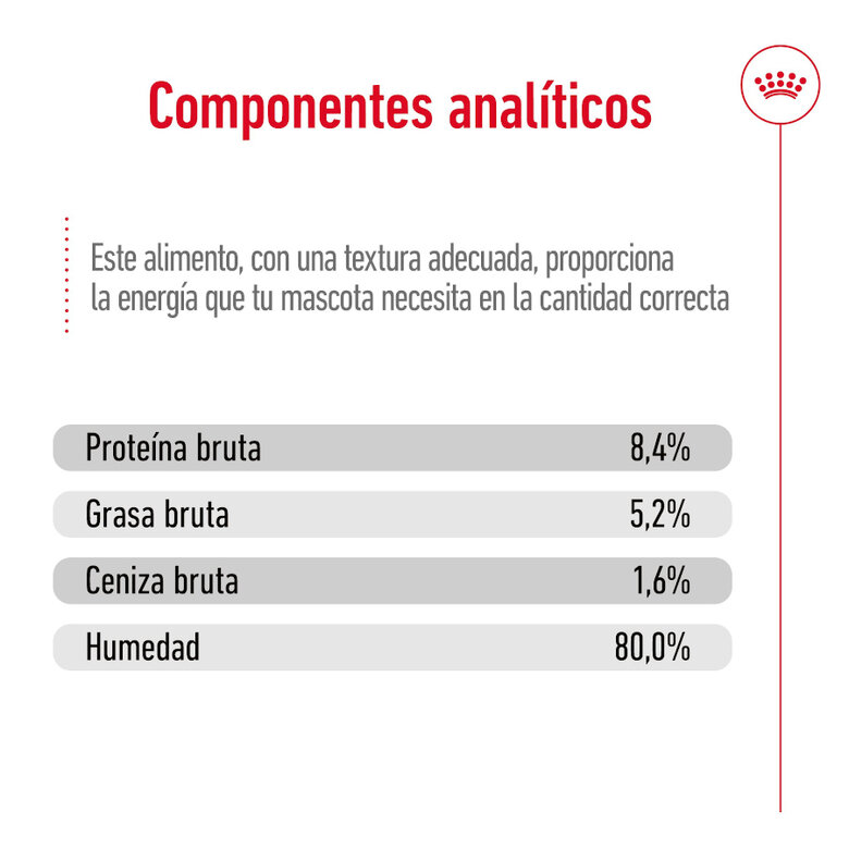 410 g Royal Canin Maxi Ageing 5+ Patê em lata para cães,  Imagem número 3 410 g Royal Canin Maxi Ageing 5+ Patê em lata para cães, , large Imagem número 3