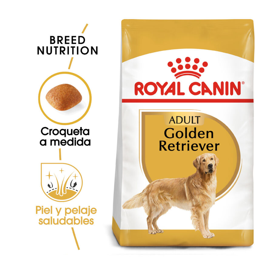 12 kg Royal Canin Adult Golden Retriever ra&ccedil;&atilde;o para c&atilde;es, , large Imagem n&uacute;mero 2