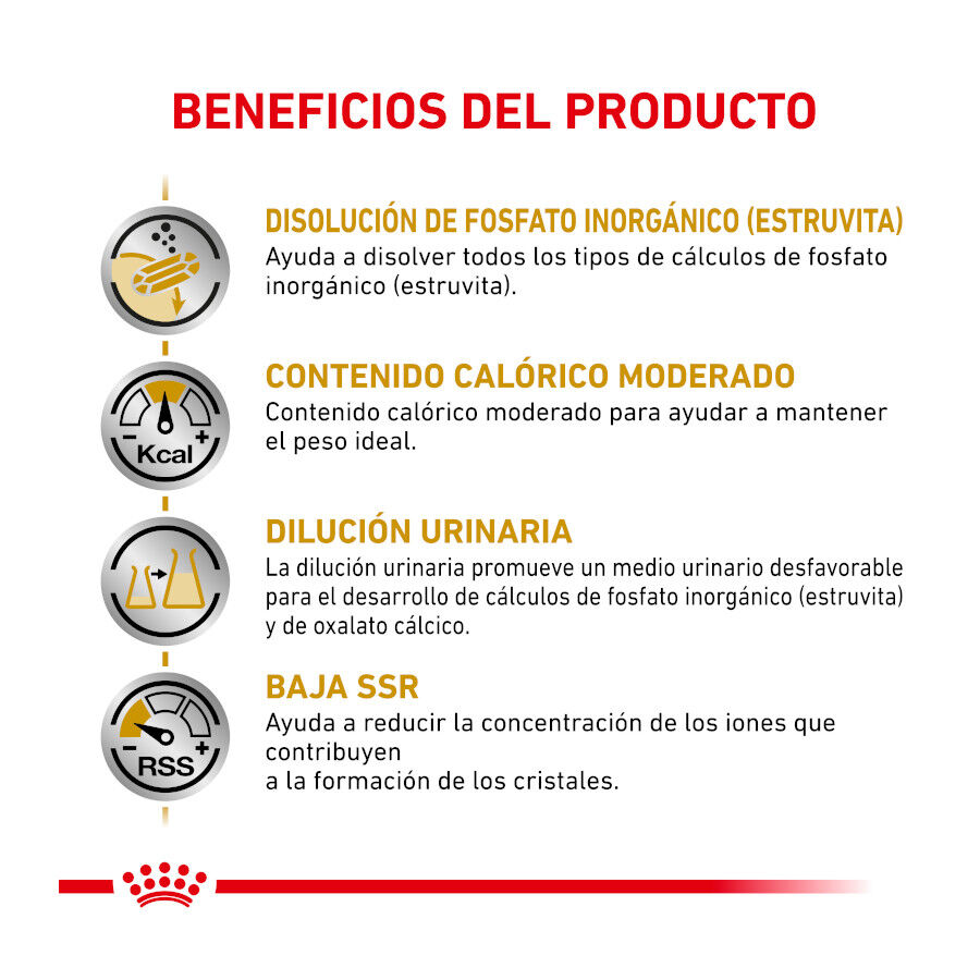 3.5 kg Royal Canin Veterinary Urinary Moderate Calorie ra&ccedil;&atilde;o para gatos , , large Imagem n&uacute;mero 4