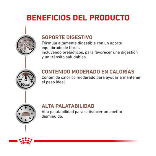 12 saquetas x 85 g Royal Canin Veterinary Gastrointestinal Moderate Calorie saqueta para gatos , , large Imagem n&uacute;mero 3
