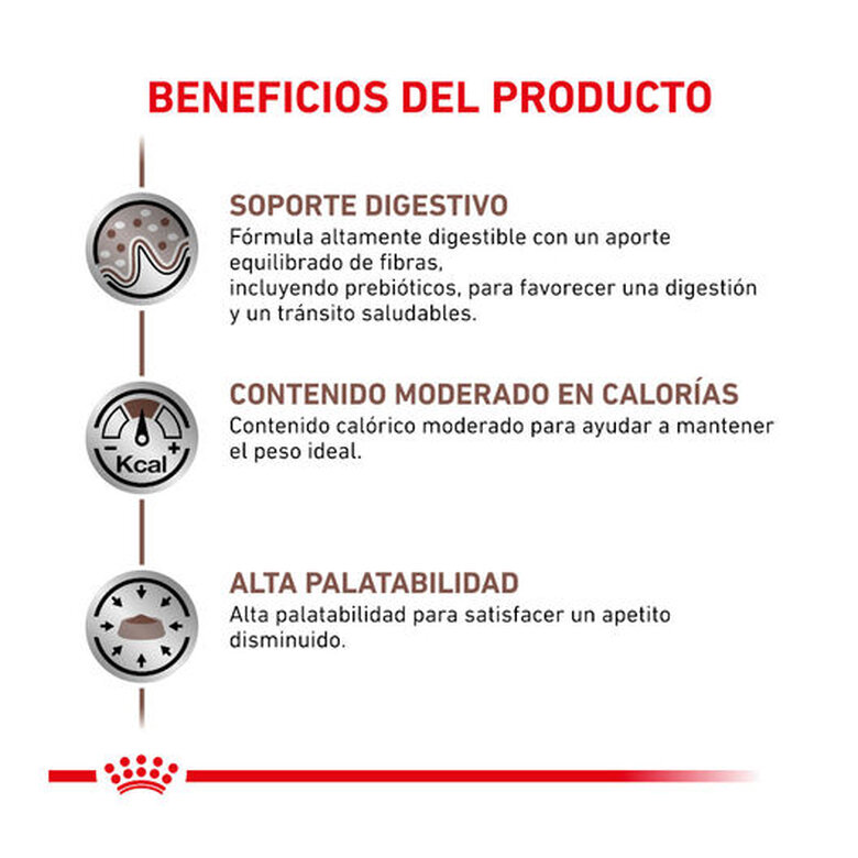 12 saquetas x 85 g Royal Canin Veterinary Gastrointestinal Moderate Calorie saqueta para gatos ,  Imagem número 3 12 saquetas x 85 g Royal Canin Veterinary Gastrointestinal Moderate Calorie saqueta para gatos , , large Imagem número 3